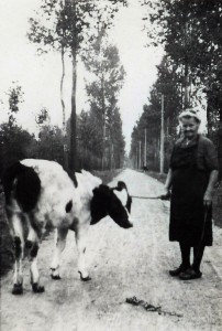 Trezeke was de vrouw van Brouwer Coenen