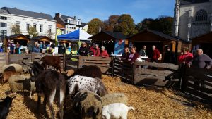 de mobiele kinderboederij vlak tegenover de stand van Tripel trezeke